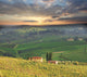 Chianti Famous Vineyard Italy