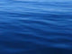 Stille Wasser Wall Decal