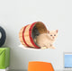 Kitten Mischief Wall Mural