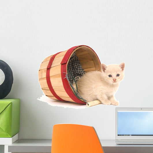 Kitten Mischief Wall Mural