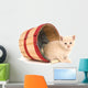 Kitten Mischief Wall Mural