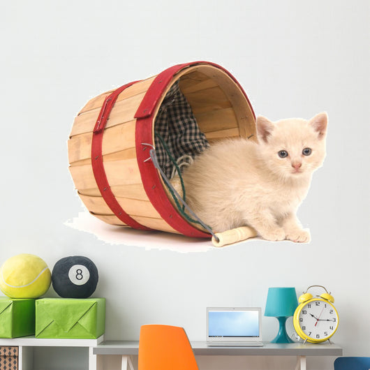 Kitten Mischief Wall Mural