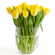 Yellow Tulips in a Vase Wall Decal