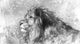 Lion Tattoo Illustration Art