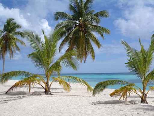 Plage Des Iles Turkoises Wall Decal