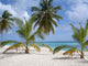 Plage Des Iles Turkoises Wall Decal