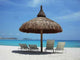 Parasol Plage Cancun Wall Decal