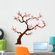 Sakura (Cherry) tree blossom isolated on white Wall Decal