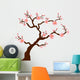Sakura (Cherry) tree blossom isolated on white Wall Decal