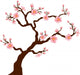 Sakura (Cherry) tree blossom isolated on white Wall Decal