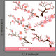 Blooming Cherry Blossom Branches