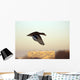 Mallard in Flight Wall Mural