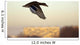 Mallard in Flight Wall Mural