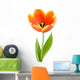 Perfect Full-blown Tulip