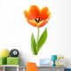 Perfect Full-blown Tulip