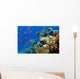 Coral and Fish