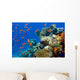 Coral and Fish
