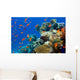 Coral and Fish