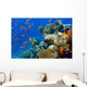 Coral and Fish
