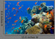 Coral and Fish