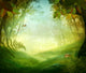 Spring Design Forest Meadow
