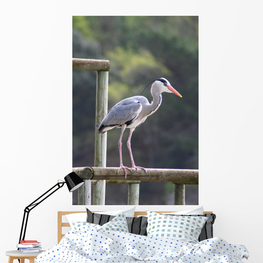 Heron Cendre Wall Mural