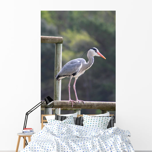 Heron Cendre Wall Mural