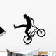 Man Bmx Acrobatic Figure Wall Mural