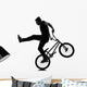 Man Bmx Acrobatic Figure Wall Mural