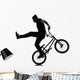 Man Bmx Acrobatic Figure Wall Mural