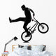 Man Bmx Acrobatic Figure Wall Mural