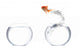 Goldfish