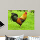 Cockerel Wall Decal