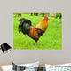 Cockerel Wall Decal
