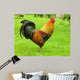 Cockerel Wall Decal