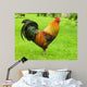 Cockerel Wall Decal