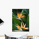 Bird Paradise 1