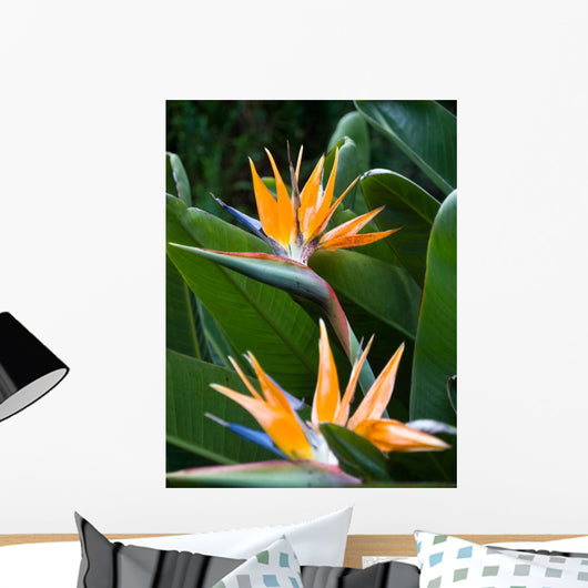 Bird Paradise 1