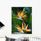 Bird Paradise 1