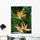 Bird Paradise 1