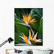 Bird Paradise 1