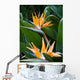 Bird Paradise 1