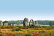 Dolmen Wall Decal