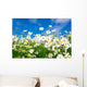 White Daisies Wall Mural
