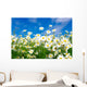 White Daisies Wall Mural