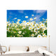 White Daisies Wall Mural