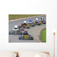 line of karts Wall Mural