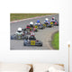 line of karts Wall Mural
