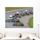 line of karts Wall Mural