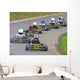 line of karts Wall Mural